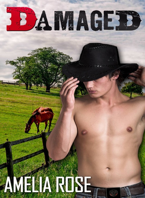 Cover image for book Damaged: Rancher Romance Series: Book 2 - Darrell's Story
