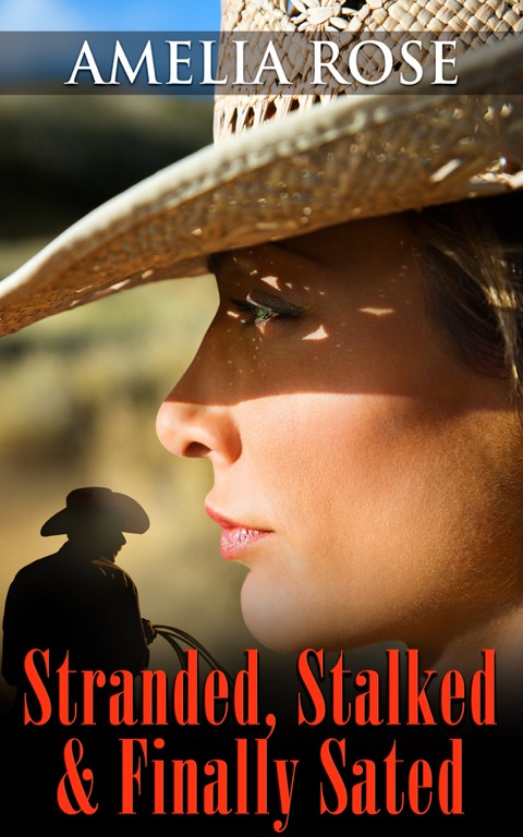 Cover image for book Stranded, Stalked and Finally Sated: License To Love: Book 1