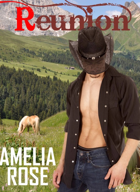 Cover image for book Reunion: Rancher Romance Series: Book 3 - Marshall's Story