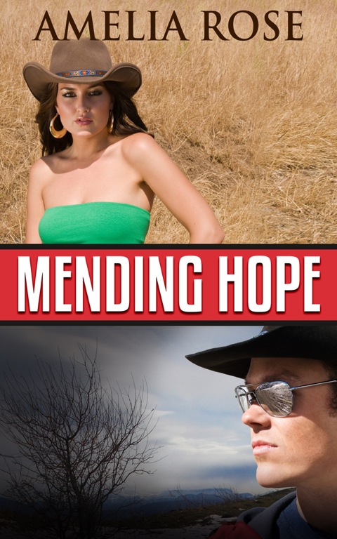 Cover image for book Mending Hope: License To Love: Book 2
