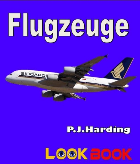Cover image for book Flugzeug