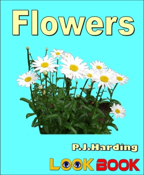 Cover image for book Flowers