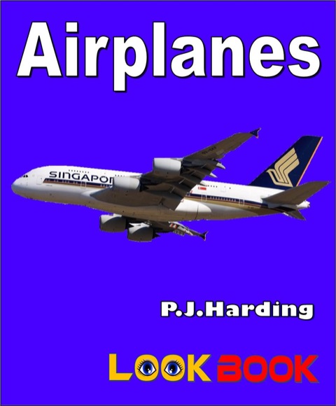 Cover image for book Airplanes
