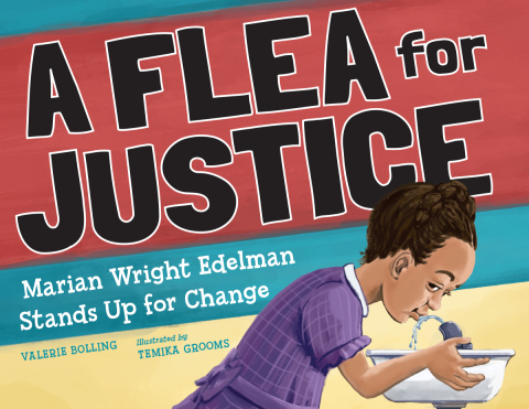 Cover image for book A Flea For Justice