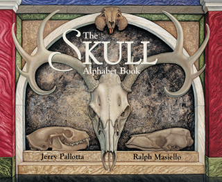 The Skull Alphabet Book