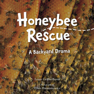 Honeybee Rescue