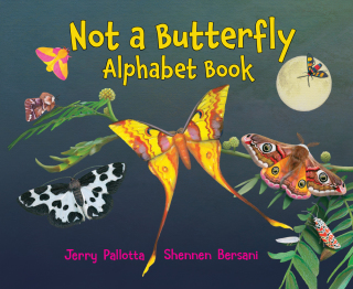 Not a Butterfly Alphabet Book