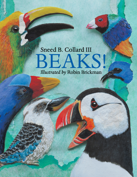 Cover image for book Beaks!