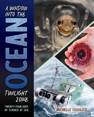 A Window into the Ocean Twilight Zone