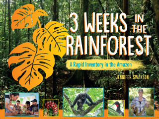 3 Weeks in the Rainforest