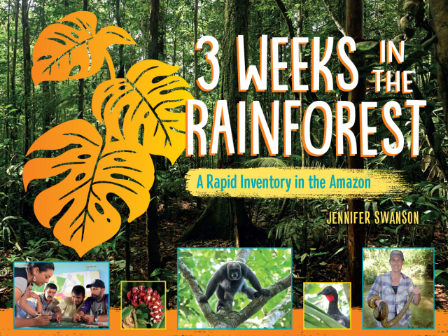 3 Weeks in the Rainforest