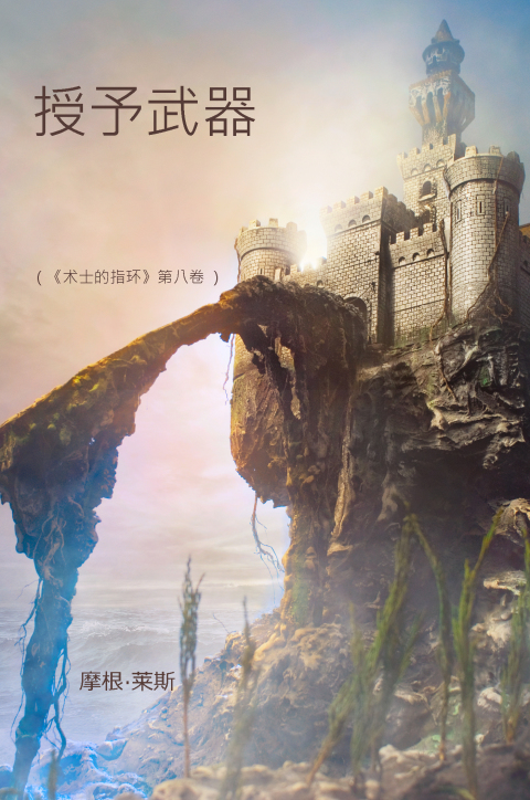 Cover image for book 授予武器 (《术士的指环》第八卷)
