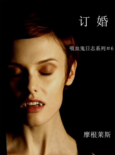 Cover image for book 订婚 （吸血鬼日志 #第六弹）
