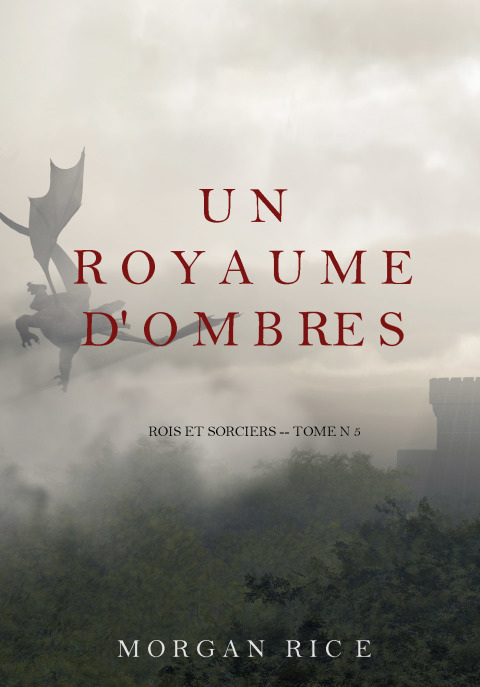 Cover image for book Un Royaume D'ombres (Rois et Sorciers -- Tome n 5)