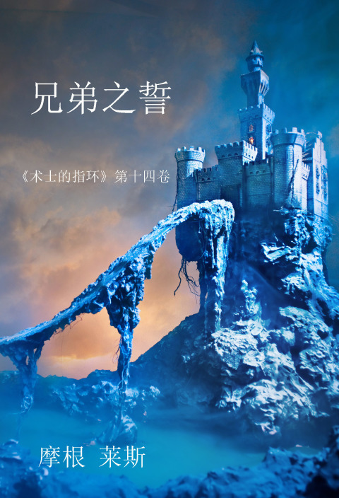 Cover image for book 兄弟之誓 （《术士的指环》第十四卷）