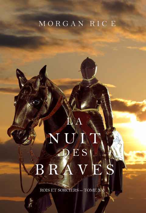 Cover image for book La Nuit des Braves (Rois et Sorciers--Tome 6)