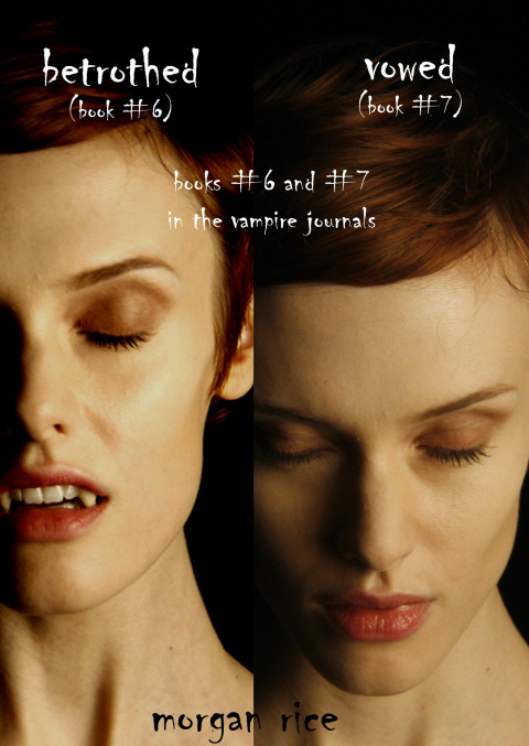 Cover image for book Vampire Journals (Books 6 and 7)