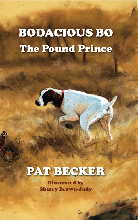 Cover image for book Bodacious Bo The Pound Prince
