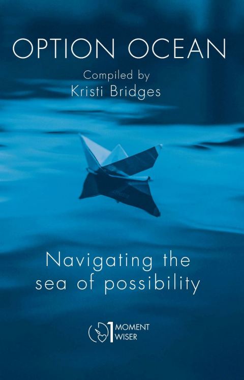 Cover image for book Option Ocean Navigating the Sea of Possibility