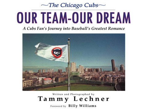 Cover image for book Our TeamOur Dream