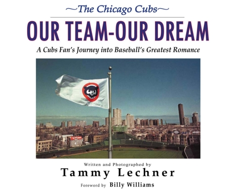 Cover image for book Our TeamOur Dream