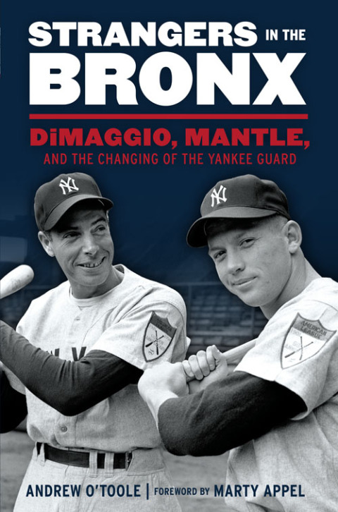 Cover image for book Strangers in the Bronx