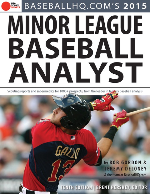 Cover image for book 2015 Minor League Baseball Analyst