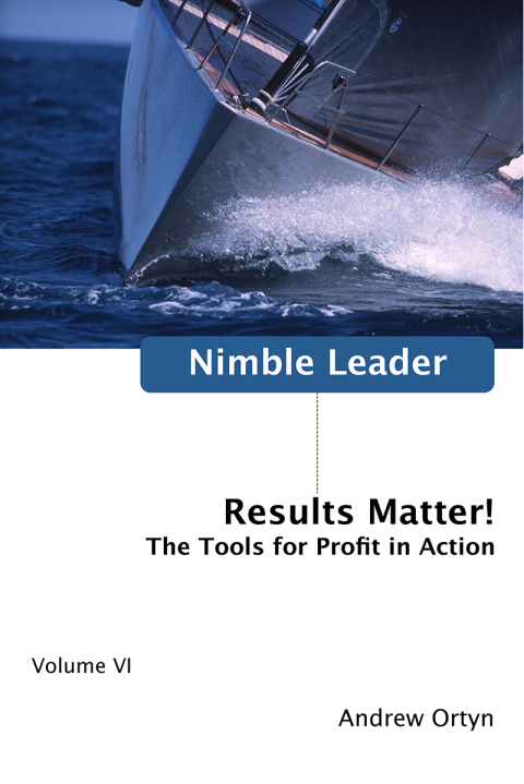 Cover image for book Nimble Leader Volume VI