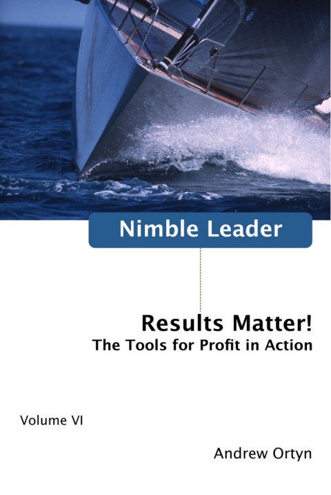 Cover image for book Nimble Leader Volume VI