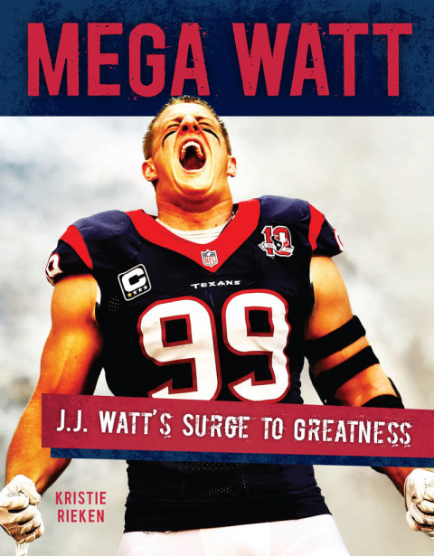 Cover image for book Mega Watt