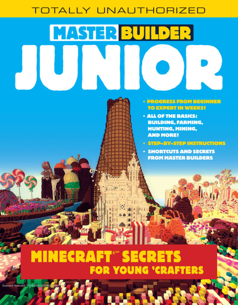 Cover image for book Master Builder Junior