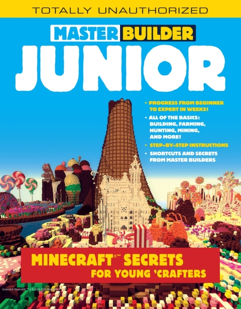 Cover image for book Master Builder Junior
