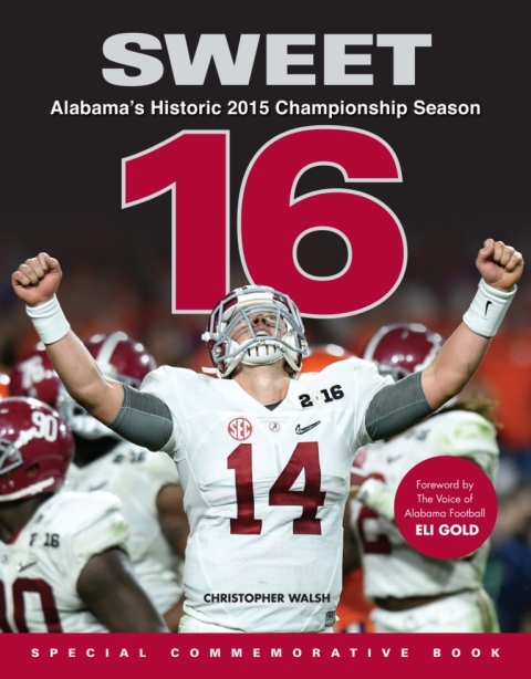 Cover image for book Sweet 16