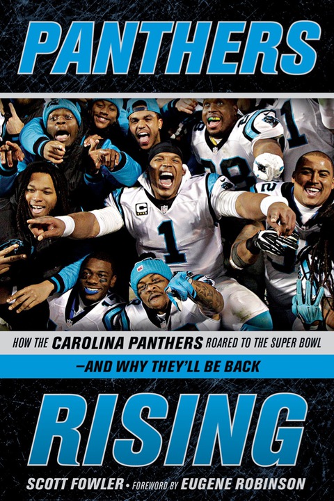 Cover image for book Panthers Rising