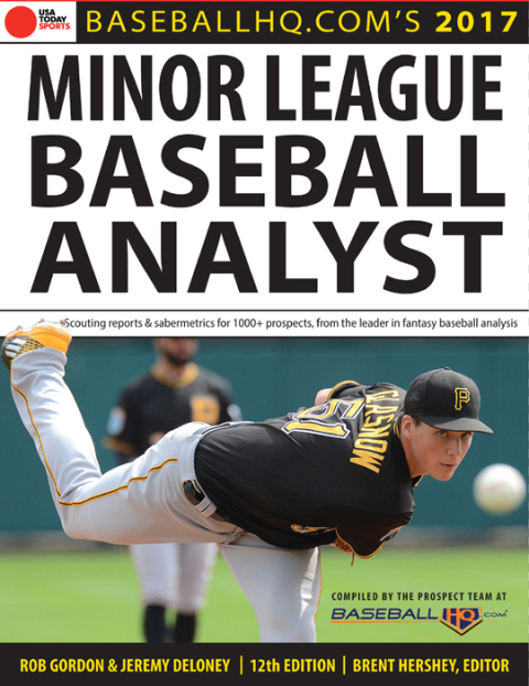 Cover image for book 2017 Minor League Baseball Analyst