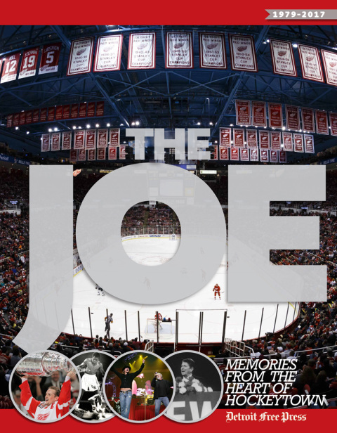 Cover image for book The Joe