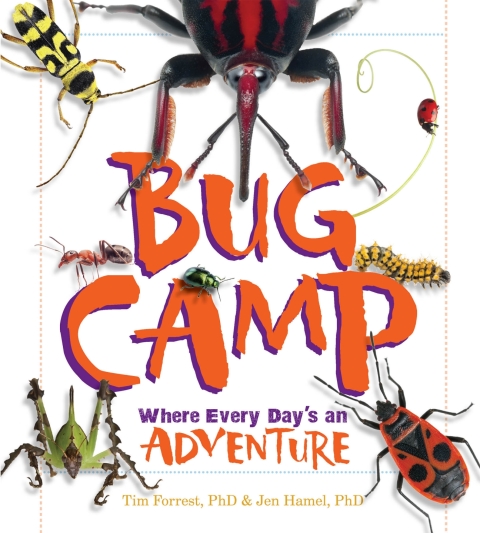 Cover image for book Bug Camp