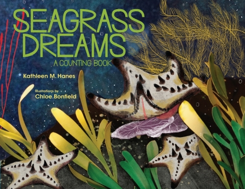 Cover image for book Seagrass Dreams