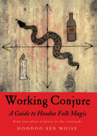 Cover image: Working Conjure 9781578636273