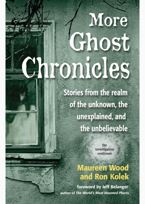 Cover image for book More Ghost Chronicles