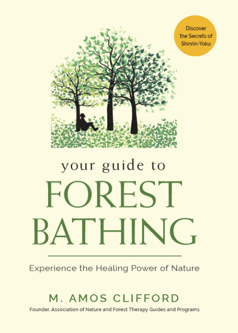 Cover image for book Your Guide to Forest Bathing