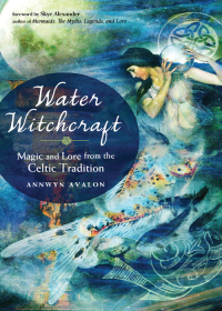 Cover image: Water Witchcraft 9781578636464
