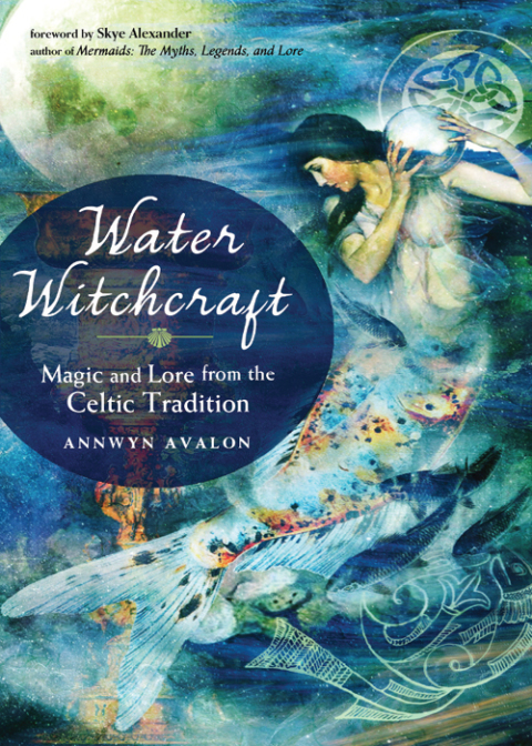 Cover image for book Water Witchcraft