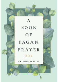 صورة الغلاف: A Book of Pagan Prayer 9781578636495