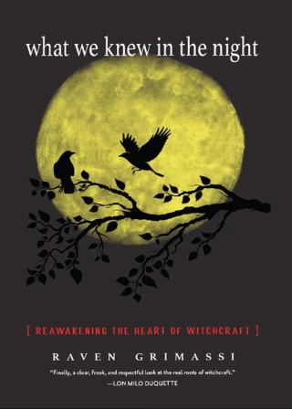 What We Knew in the Night