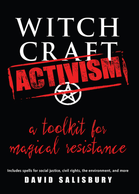 Cover image for book Witchcraft Activism