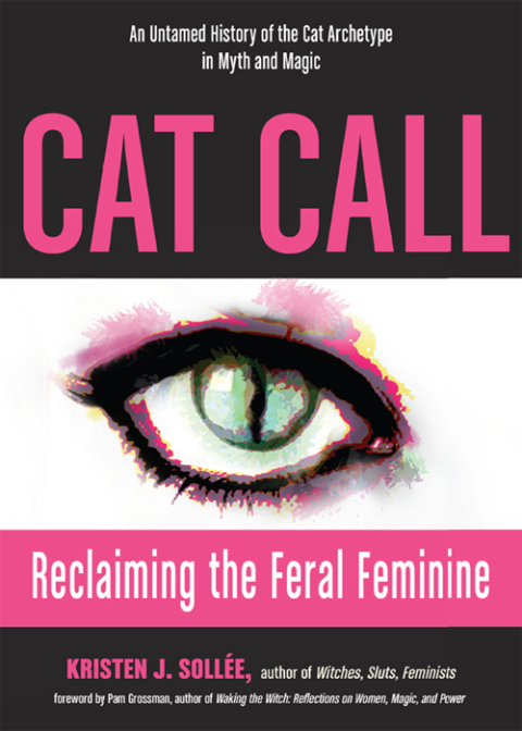Cover image for book Cat Call