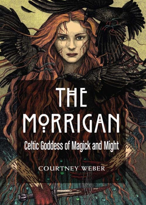 Cover image for book The Morrigan