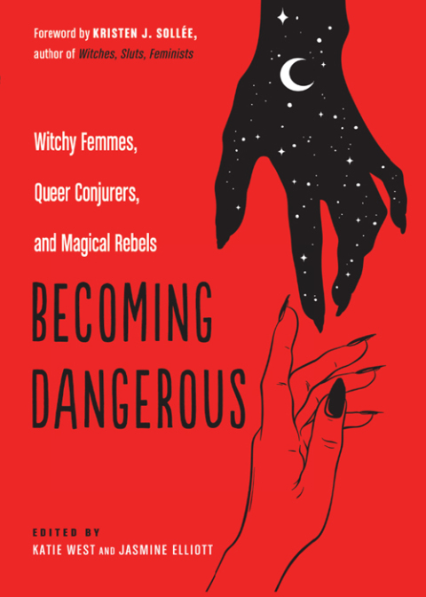 Cover image for book Becoming Dangerous