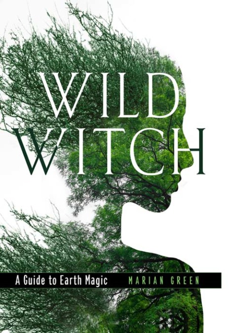 Cover image for book Wild Witch